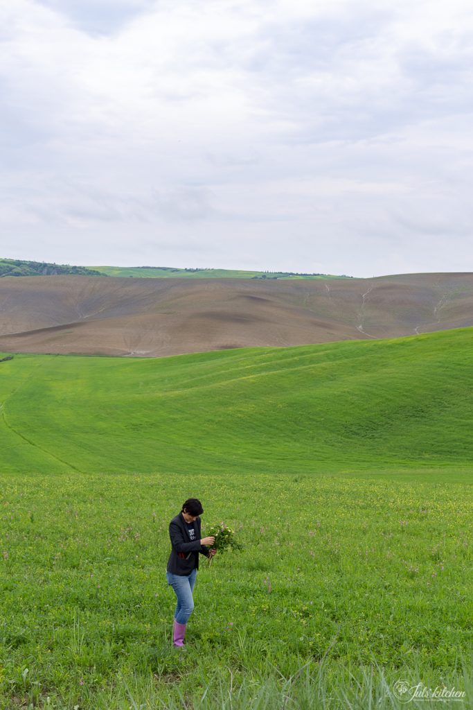 Agriturismo il Rigo in Val d'orcia