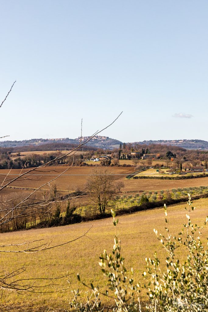 Toscana in inverno 