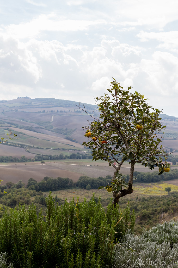 Podere il Casale