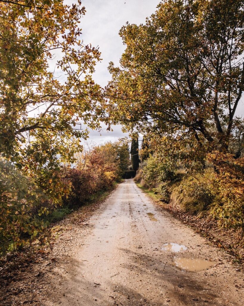 Toscana in inverno